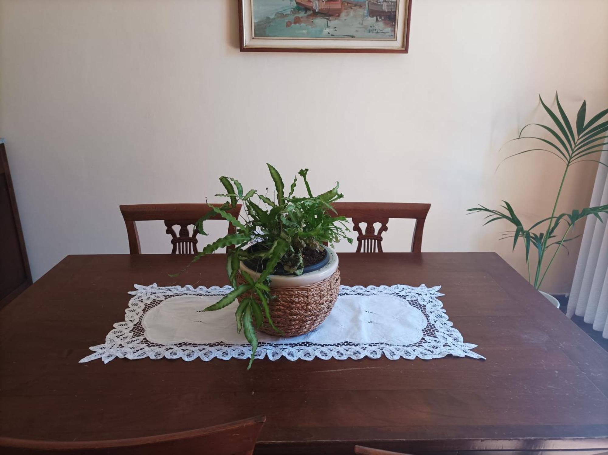 Bed And Breakfast Da Pio Castello  Exterior photo